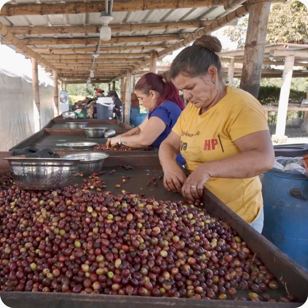 Design sans titre - 1